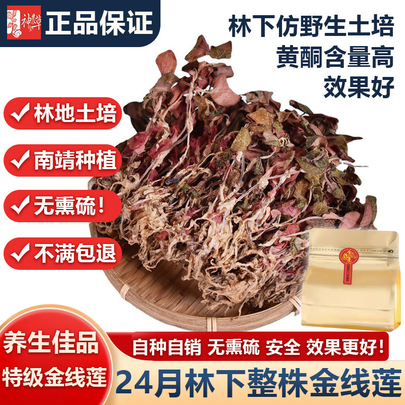 官方正宗金线莲福建南靖林下仿野生金线莲整株开花养生养肝茶礼盒