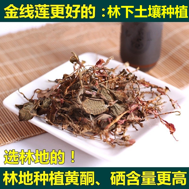 正宗金线莲干品林地种植福建金线莲茶100g礼盒装南靖金线莲养甘茶