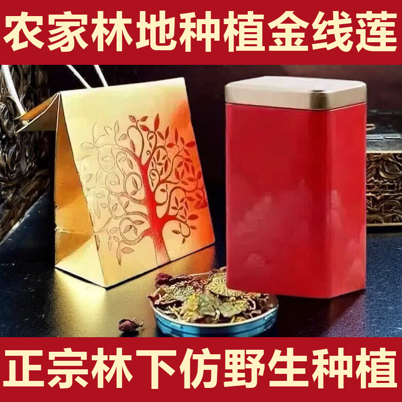 正宗金线莲干品24个月福建金线莲礼盒装南靖林下种植金线莲养生茶