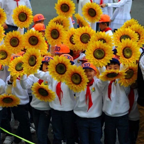 Liuyi Diseergarten Dance Props