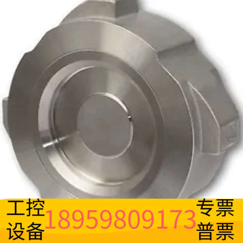 GESTRA RK86 DN25止回阀/#A C12Q 06.议价