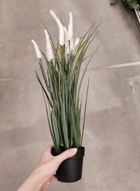 宜家菲卡仿真绿植盆栽室内客厅桌面装饰品摆件北欧简约现代