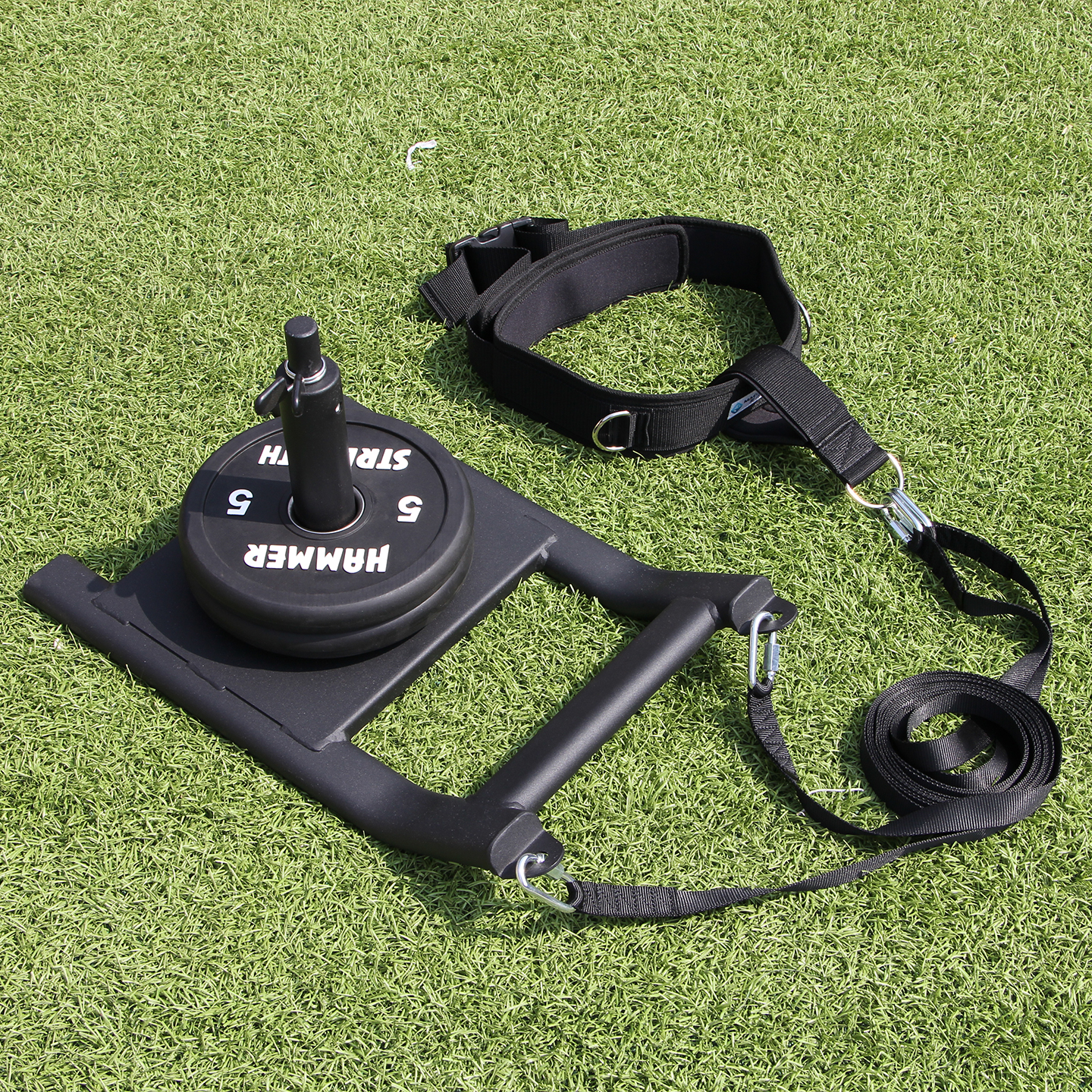 更好保護地面的雪橇車