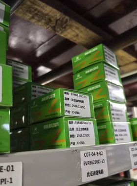 比亚迪继电器 型号：EVRBE250CI-13