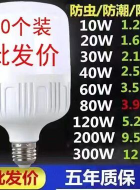 led灯泡超亮省电护眼白光大螺口E27螺丝口球形灯泡家用节能灯商用