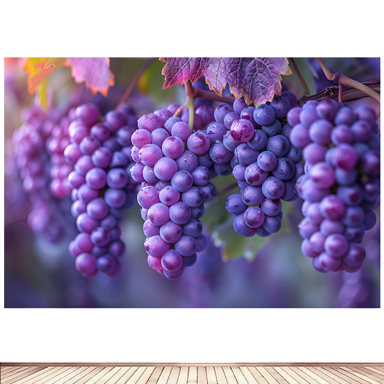 简约现代装饰画水果葡萄硕果累累丰收海报定制餐厅超市墙贴画4图片
