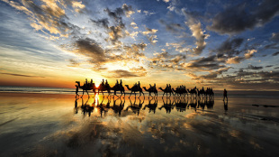 澳大利亚悉尼歌剧院城市景观建筑海报制作客厅装饰贴画挂画6059