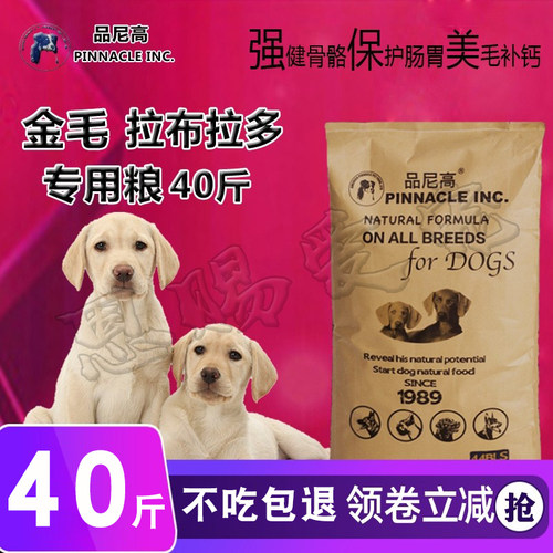 拉布拉多金毛边牧萨摩20kg马犬