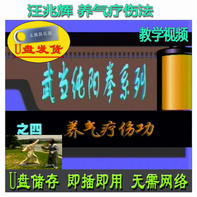 武当纯阳拳之养气疗伤功 U盘视频 龙门武术讲解:汪兆辉教学