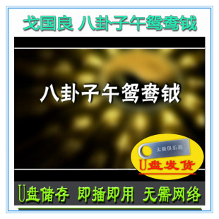 戈国良 八卦子午鸳鸯钺64式U盘视频程派高氏八卦掌系列日月乾坤剑