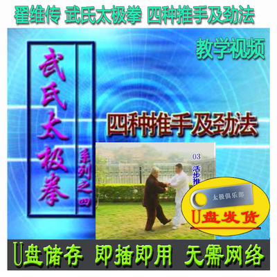 翟维传 武氏太极拳四种推手及劲法U盘视频 武式讲解教学武派