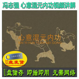 冯志强 心意混元内功U盘视频陈氏太极拳系列养生教学讲解