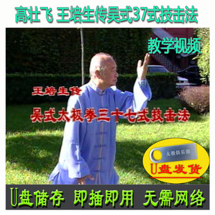 高壮飞 王培生传吴式太极拳37式技击法U盘视频 吴氏三十七式教学