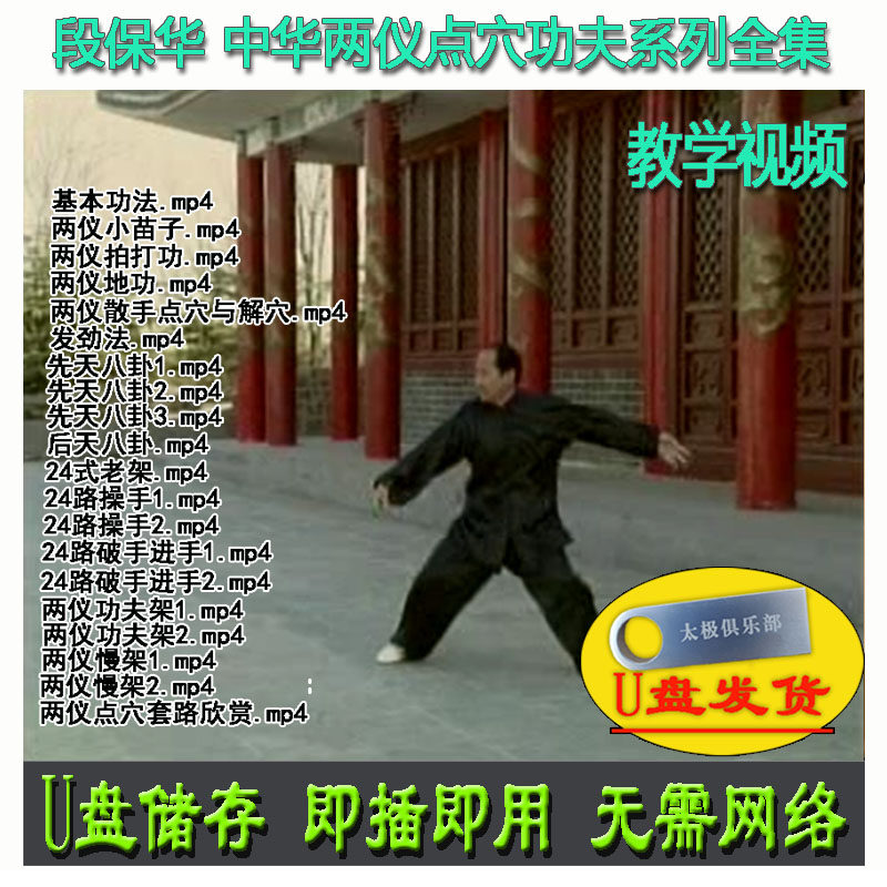 段保华 中华两仪拳点穴功夫系列全集U盘视频 地功拍打功慢架八卦 - 实物图