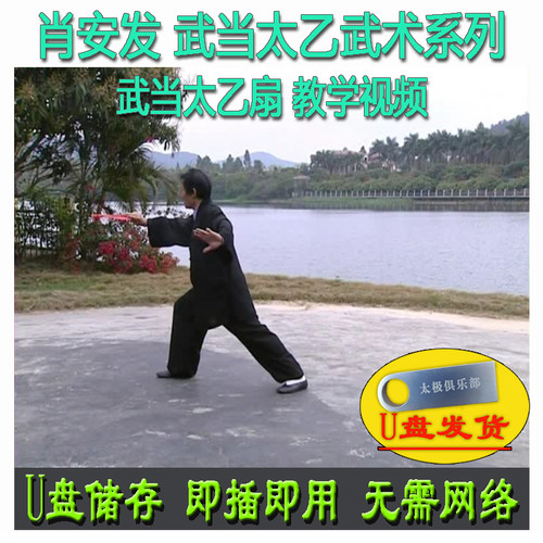 肖安发 武当太乙扇 U盘视频教学 分解讲解太乙武术系列教程