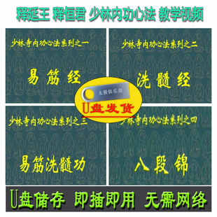 释延王U盘视频易筋经 洗髓经八段锦 固肾养心消脂功 少林内功心法