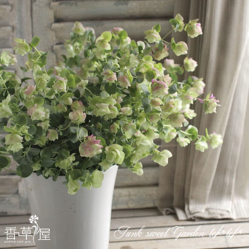 肯特美女牛至 origanumkent beauty 多年生耐寒 芳香植物 包邮