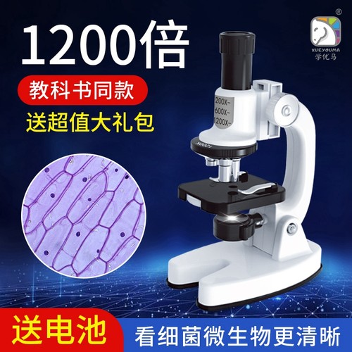 中小学生专用光学电子显微镜儿童六年级初中生小型专业级可看细菌