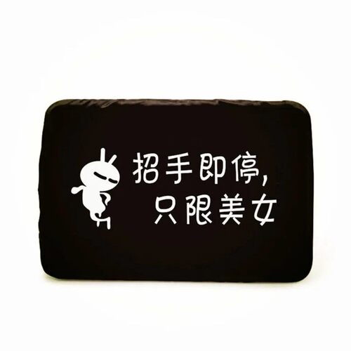 托车牌照套电动车牌套九号车牌