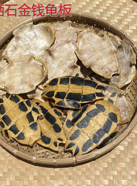 生晒石金钱龟板外塘南石龟板乌龟壳中药材龟板龟苓膏龟甲煮汤药引