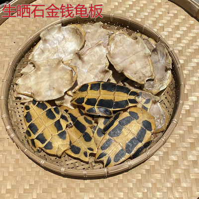 生晒石金钱龟板外塘南石龟板乌龟壳中药材龟板龟苓膏龟甲煮汤药引