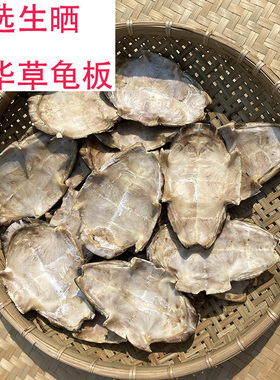 农家生晒龟板外塘中华草龟板乌龟壳中药材龟板龟苓膏龟甲煮汤药引