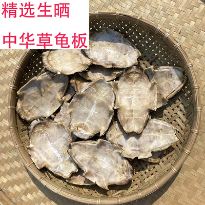 农家生晒龟板外塘中华草龟板乌龟壳中药材龟板龟苓膏龟甲煮汤药引