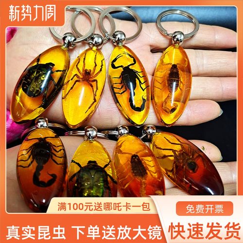 真实昆虫金龟蝎子蜘蛛树脂钥匙扣