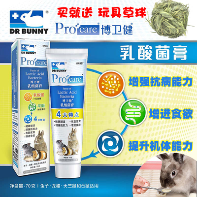兔博士DR357乳酸菌膏 仓鼠兔子荷兰猪龙猫 保护肠道增强免疫力70g