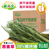 爱尚它烘干绿燕麦多叶高纤燕麦草龙猫粮食兔子荷兰猪干草饲料500g