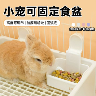 umi食盆小宠食盒龙猫荷兰猪兔子食盆防掀防打翻可固定式喂食器