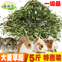 一级大麦草段5斤装 包邮 兔子饲料龙猫豚鼠粮荷兰猪牧草干草粗纤维
