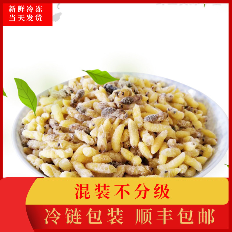 深山野生马蜂蜂蛹活体500g新鲜冰冻油炸即食网红特产虎头蜂虫幼虫