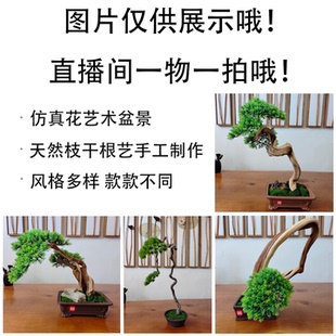 崖柏根艺盆景 直播专拍链接100~1000