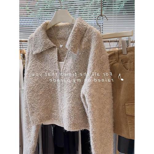 今年流行韩系拉链polo领羊毛圈圈绒毛衣外套女宽松短款针织开衫