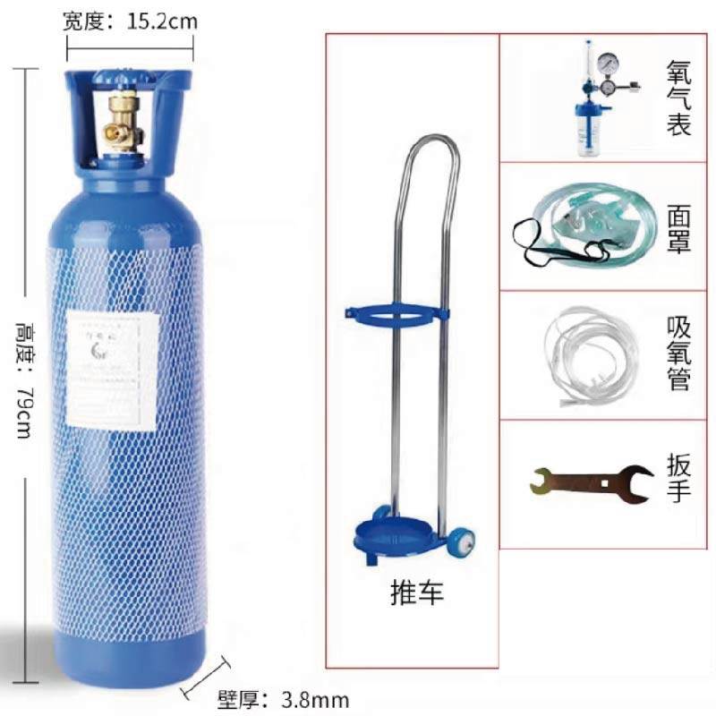 便携氧气瓶2/4/10/升家用小型氧气罐孕妇老人吸氧救急高原供氧罐