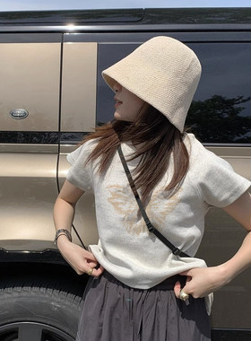 短款修身棉短袖女生夏季高级感