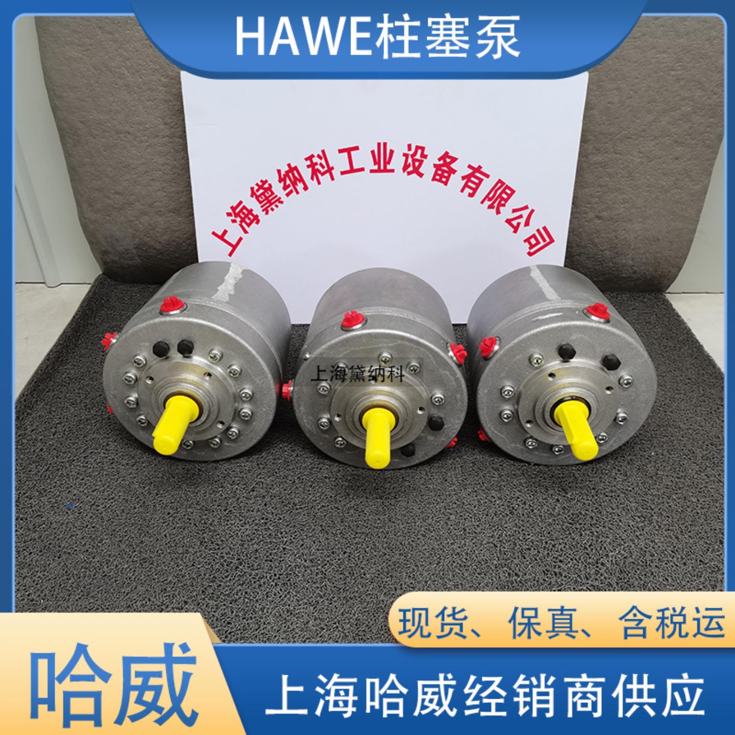 哈威6012系列双排缸泵德国HAWE柱塞泵R 304供应径向泵 可议价