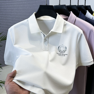 高品质男t恤短袖 带领男 2025新款 潮流翻领休闲刺绣品牌保罗polo衫