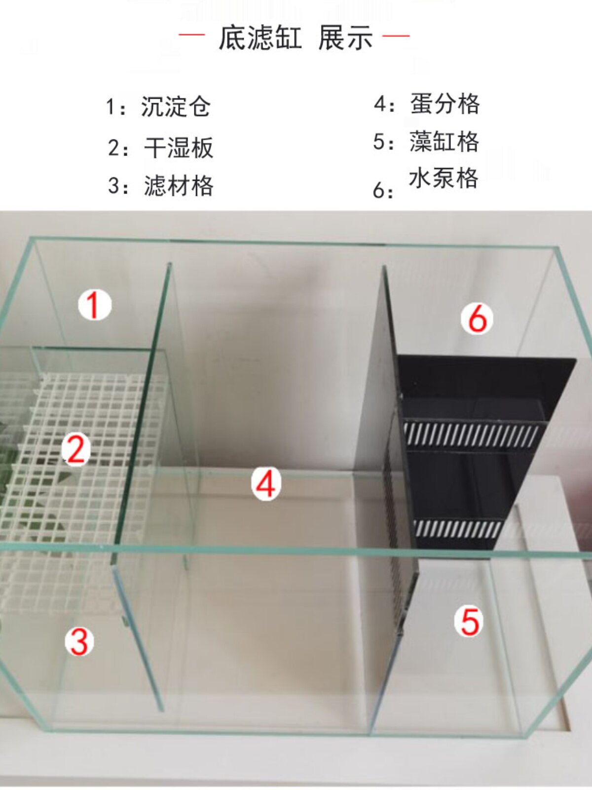 底滤缸/海缸/珊瑚小丑鱼/背包过滤/水族箱/生态鱼缸/包破损/长型