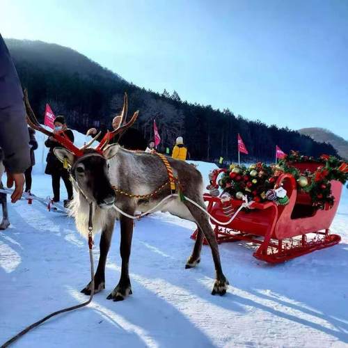 圣诞雪橇车儿童爬犁小马车厂家