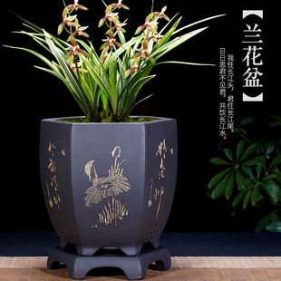 紫砂花盆方形兰花盆君子兰盆兰草专用盆带托盘室内阳台桌面陶瓷盆