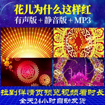 B6247Z花儿为什么这样红加长换音乐音乐LED背景视频朗诵配乐歌舞