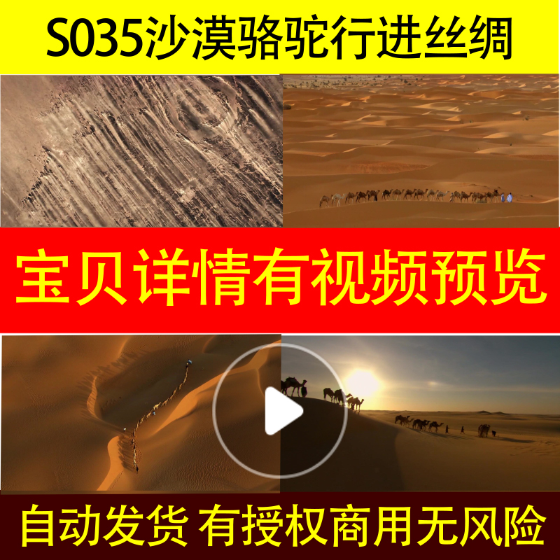 S035沙漠骆驼行进丝绸高清实拍视频Z路素材背景制作延时摄影