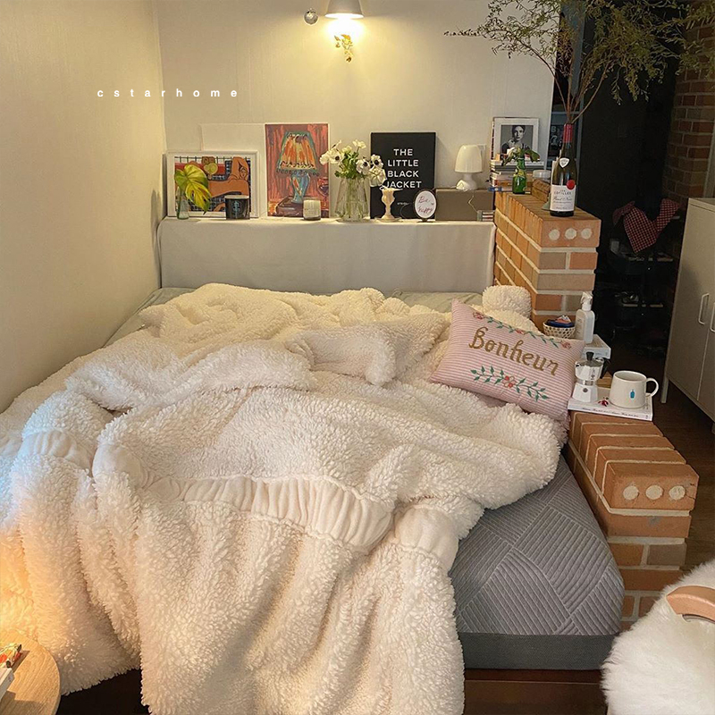 ins加厚保暖羊羔绒双面绒四件套