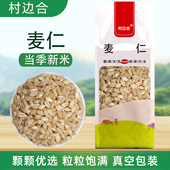 麦仁米饭煮粥五谷杂粮粗粮农家特产八宝粥原料小麦仁大麦仁新鲜