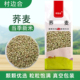 荞麦米荞麦仁三角麦真空装 粗粮杂粮五谷豆浆八宝粥农家特产营养