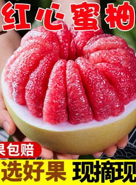 福建新鲜水果红心红肉管溪蜜柚子