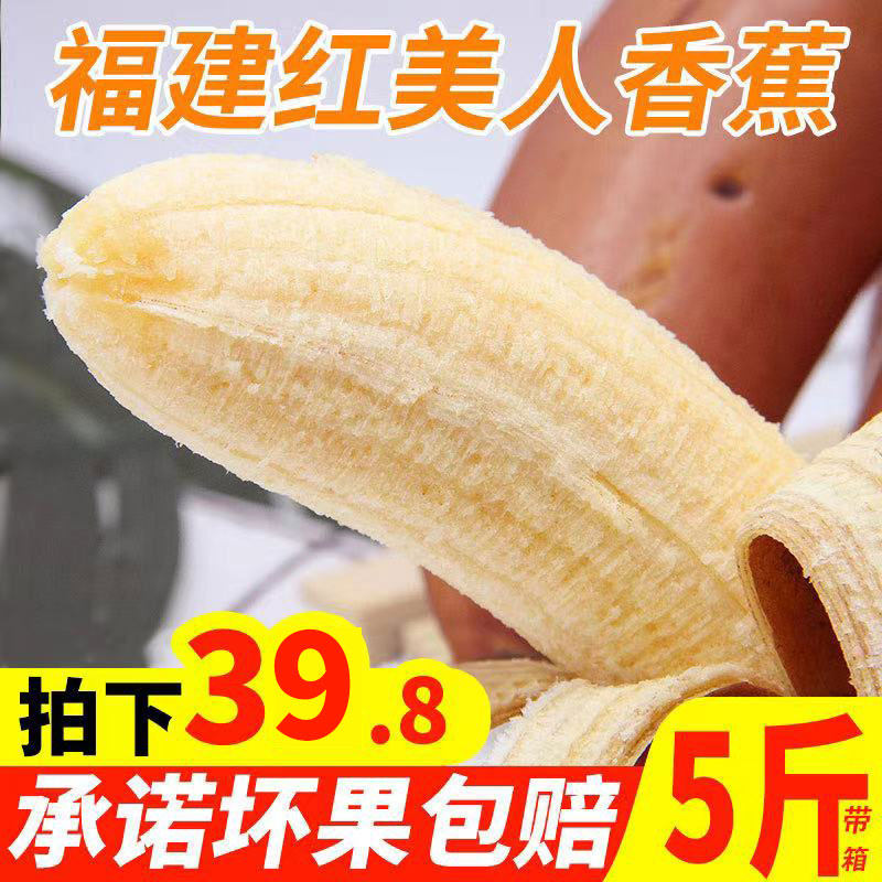 福建漳州红美人红皮香蕉净重5斤新鲜当季孕妇水果芭蕉米蕉包邮10