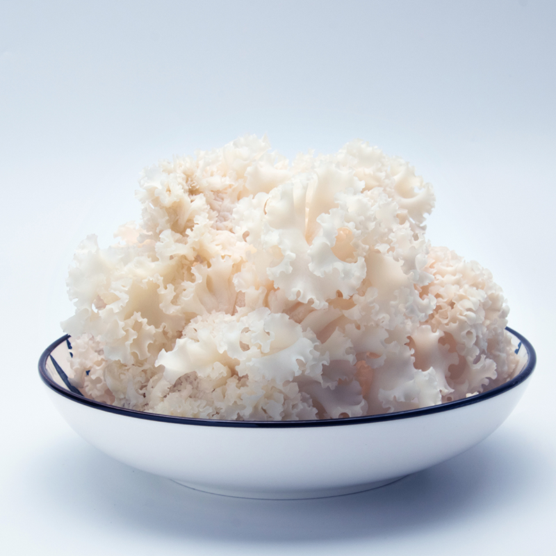 新鲜绣球菌1斤2斤装火锅爆炒绣球菌银耳蘑菇炒菜顺丰直达脆嫩